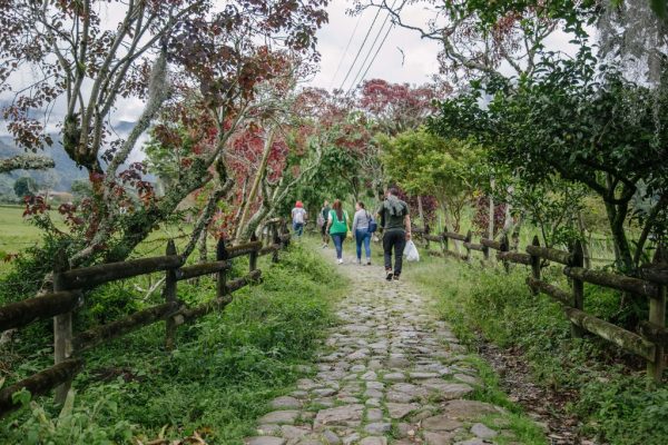 Caminata ecológica y cultural por La Herrera- Serranías - Imagen 7
