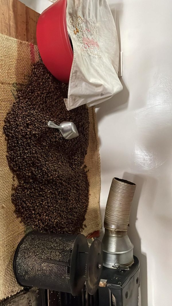 Tour de abejas y miel - Imagen 4