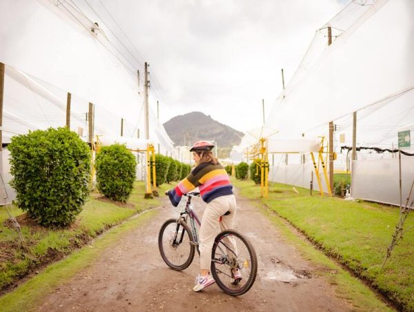 Pedalea entre montañas y flores - Imagen 3