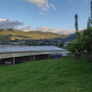 Experiencia agroecológica en granja