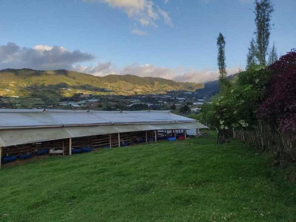 Experiencia agroecológica en granja