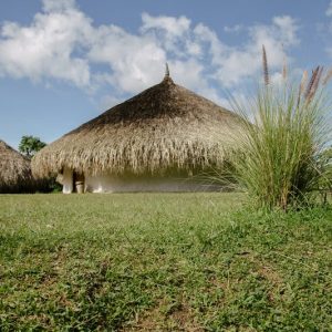 Intercambio con la sabiduría ancestral