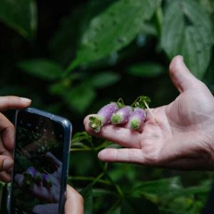 Visita el Ecoparque Los Saltos