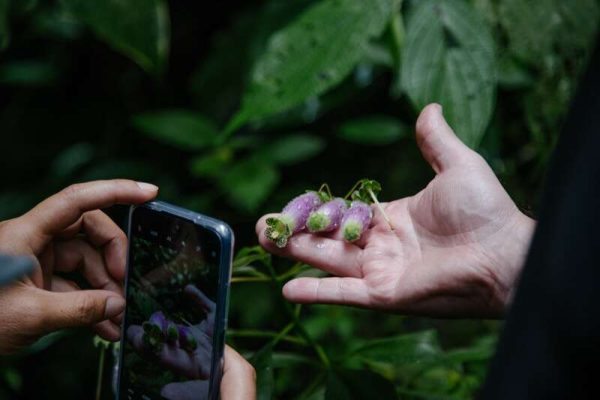 Visita el Ecoparque Los Saltos