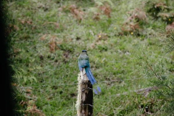 Visita el Ecoparque Los Saltos - Imagen 6