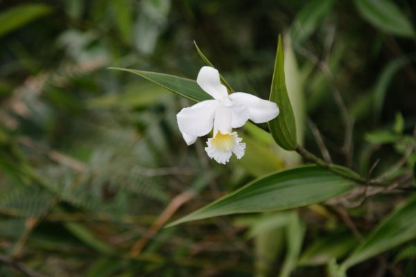 Visita el Ecoparque Los Saltos - Imagen 4