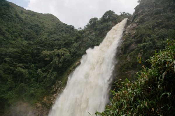 Visita el Ecoparque Los Saltos - Imagen 3