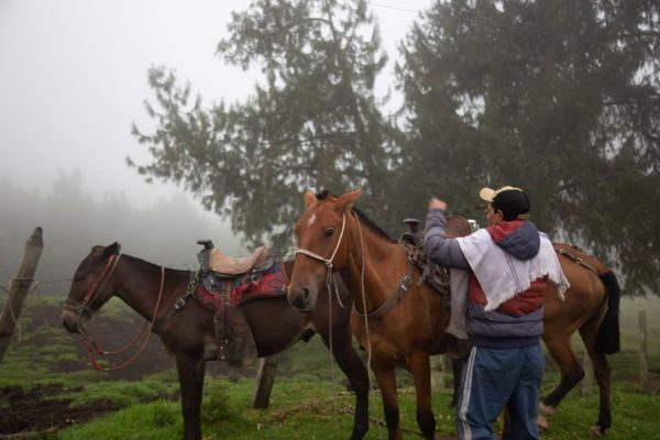 Viaje al hábitat del Colibrí del Sol - Imagen 14