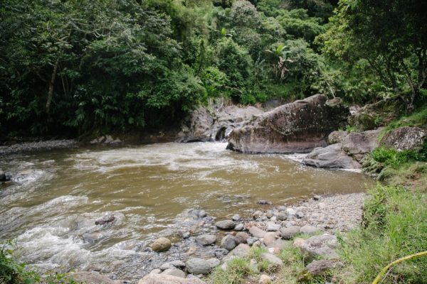 Caminata ecológica y cultural por La Herrera- Serranías - Imagen 2