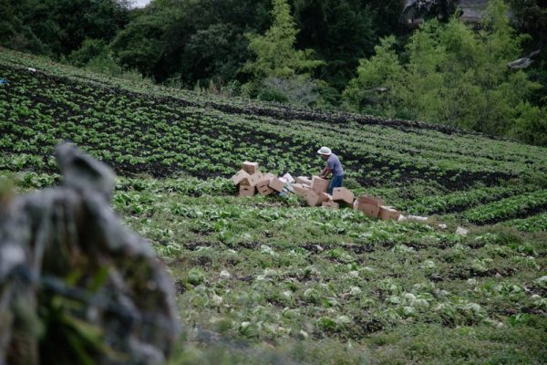 La cuna de la antioqueñidad - Imagen 17