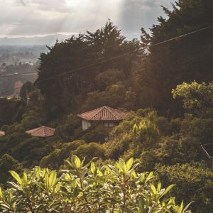 Permacultura y caminata por senderos ancestrales