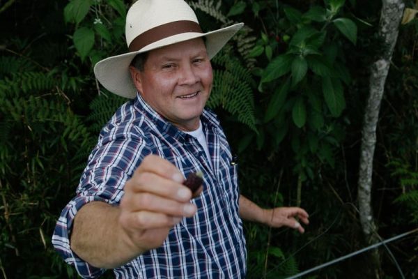 La ranchera: una finca lechera - Imagen 6