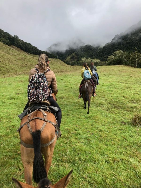 Viaje al hábitat del Colibrí del Sol - Imagen 5