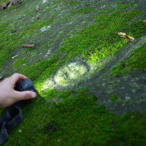 Ruta de petroglifos: rocas que hablan
