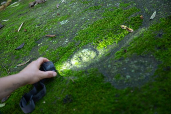 Ruta de petroglifos: rocas que hablan