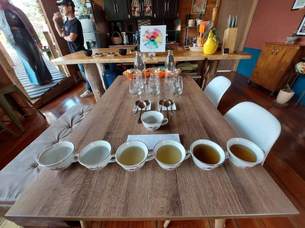 Cata sensitiva de café - Imagen 5