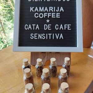 Cata sensitiva de café