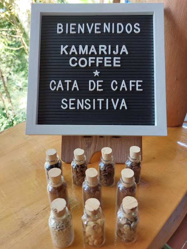 Cata sensitiva de café
