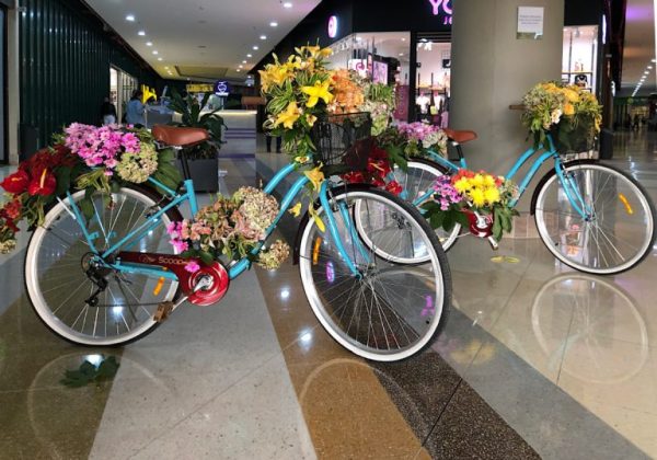 Aventura de agua, flores y bicis