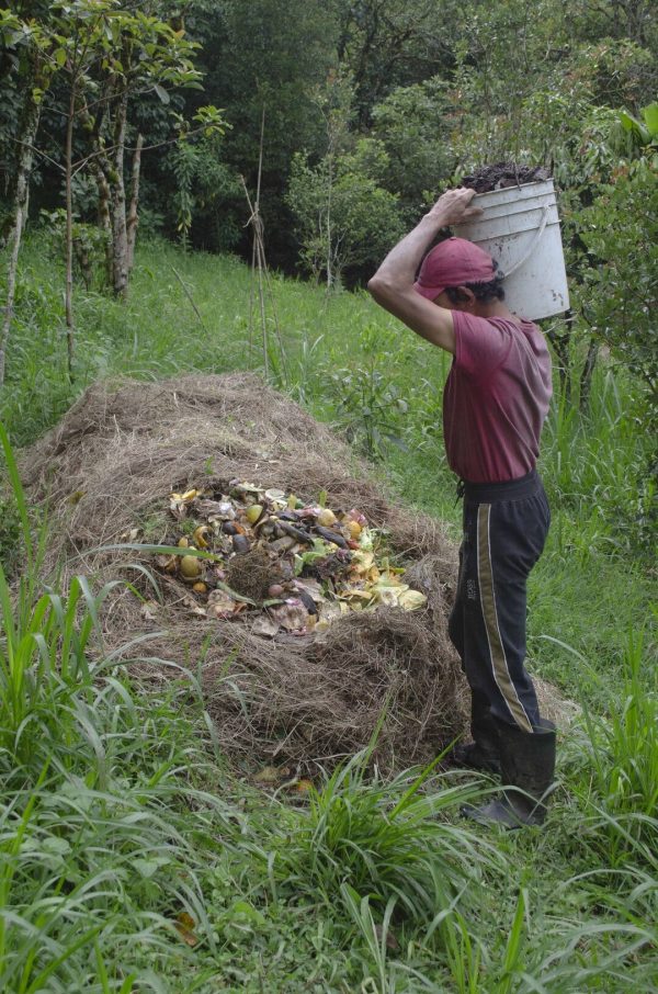 Conexión y aprendizajes del campo - Imagen 8