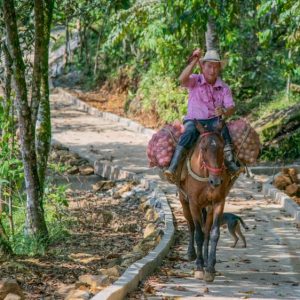 Viaje al corazón del campo y la tradición