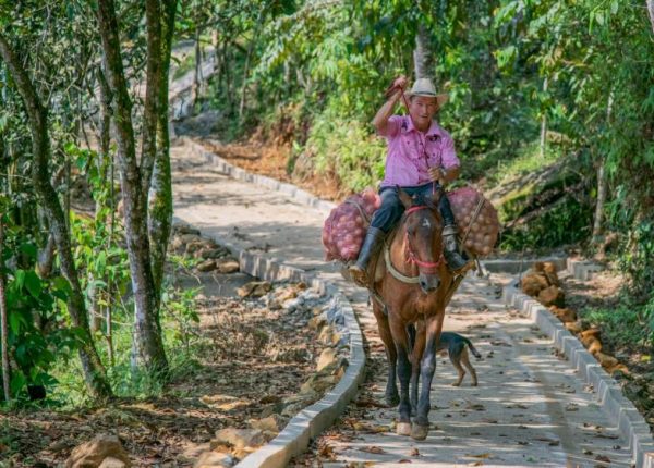 Viaje al corazón del campo y la tradición